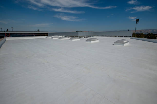 Best Roof Coating and Sealing  in Archer Lodge, NC