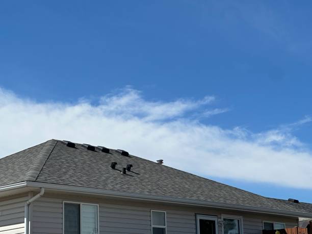 Best Chimney Flashing Repair  in Archer Lodge, NC